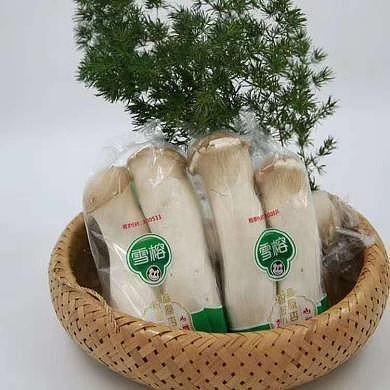 从大宗农产品到精细消费品 雪榕生物的百倍增长空间大迁徙